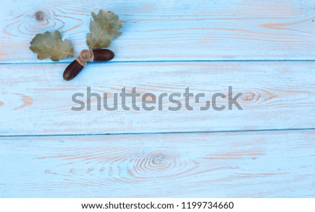 Christmas wooden background with natural decoration: fir tree, cones and rowanberries. Rustic wooden background, view from above. Flat lay, top view