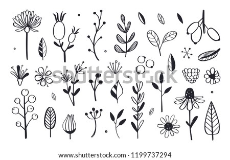 Herbal tea and floral doodle set. Vector hand drawn botanical illustration. Isolated objects on white Royalty-Free Stock Photo #1199737294