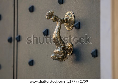 horizontal image with detail of an antique brass handle of a door in
iron