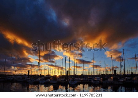 A lot of yachts with tall masts at the pier at sunrise
