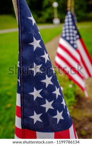 American flags waving in wind outdoors with green grass