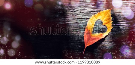 Autumn Leaf on a Wooden Background. Ecology Concept.