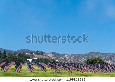 Many American flags set up in rows on a green grass field