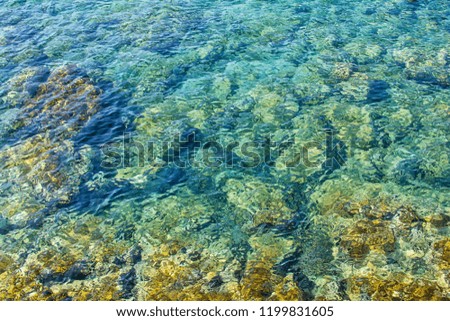 Turquoise Seawater surface texture background 