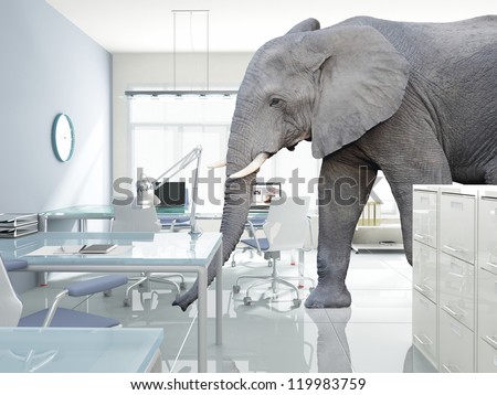 huge elephant walk in modern office Royalty-Free Stock Photo #119983759