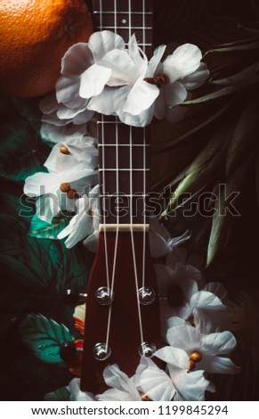 closeup photo of a ukulele against a brown background
