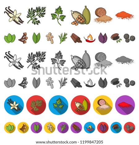 Herb and spices cartoon icons in set collection for design.Different kinds of seasonings vector symbol stock web illustration.