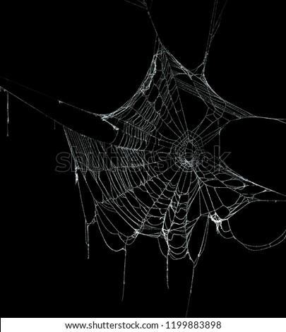 Real frost covered spider web isolated on black Royalty-Free Stock Photo #1199883898