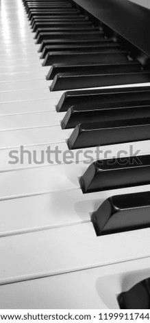 Piano and Piano keyboard detail organ synthesizer sign or music lessons music instrument sale