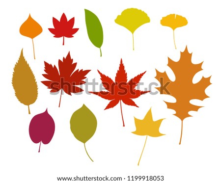 Colorful Autumn leaves illustration set