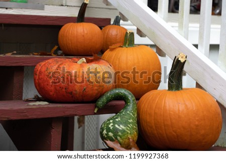 Orange pumpkins and gourd on steps