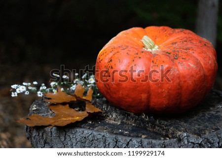 Large red pumpkin on a tree stump