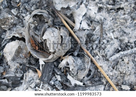 The ash from the gray fire for the design  remains background