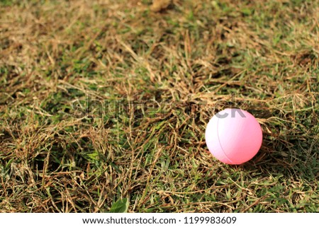 A small pink ball is laid on the lawn.