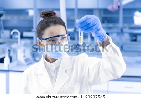 Female scientist looking at the scientific sample in the laboratory. Royalty-Free Stock Photo #1199997565