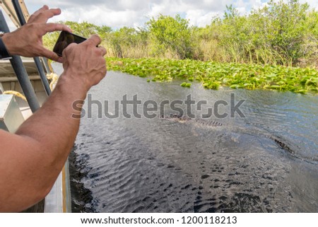 Man photographing close alligator from airboat in Everglades national park, Florida, United States of America