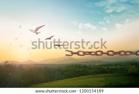 International human rights day concept: Silhouette of bird flying and broken chains at autumn mountain sunset background Royalty-Free Stock Photo #1200154189
