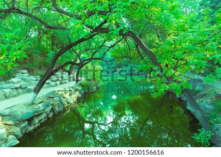 Trees and rivers in Beijing’s Yuanmingyuan