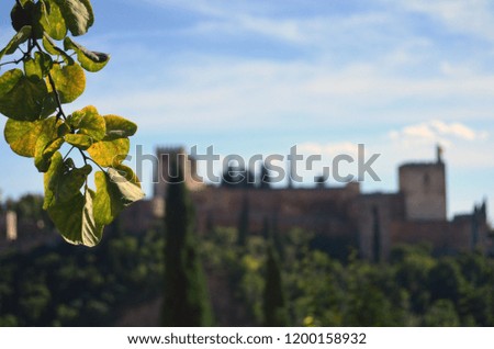 Green leaf detail and Alhambra in blur background