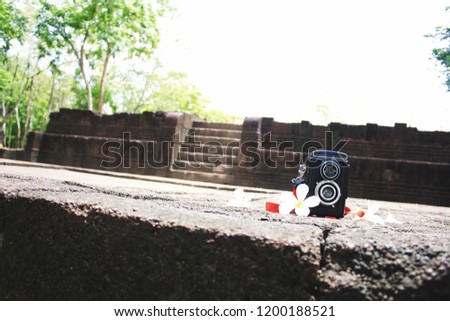 old camera showcase or vintage twin lens reflex camera selective focus or twin lens reflex vintage camera on a rocky background with decorative plumeria flower