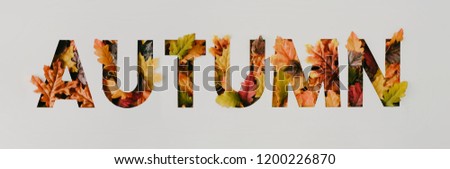 Word Autumn with colorful leaves. Creative nature concept. Minimal autumn flat lay background. Top view.