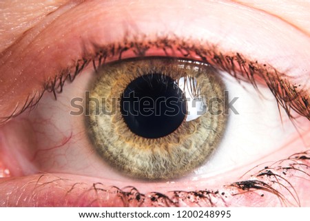 Human eye detail