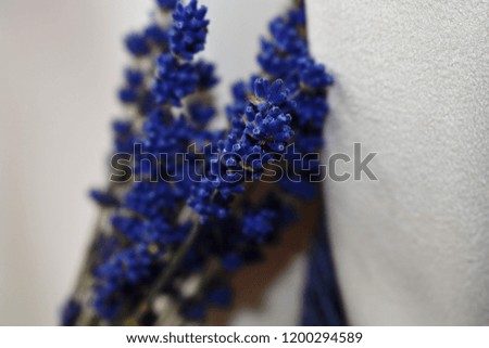 Blue tinted lavender.