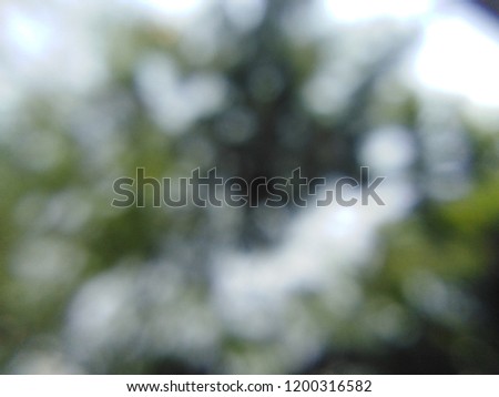 Green bokeh natural background, defocused natural concept and blurred style copy space