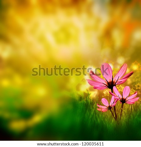Green grass with beautiful flowers