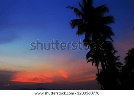 silhouette picture and colorful on sky with trees.