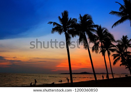 silhouette picture and colorful  with coconut trees and landscape of sea.