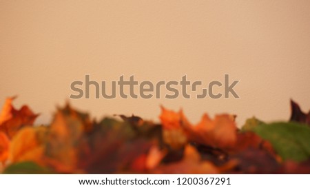 Various out of focus coloured Autumn / Fall leaves pictured against a light orange lit wall texture background.