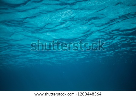 school of fish underwater, Underwater shot with sunrays and fishes in deep tropical sea, Tropical sea underwater shot