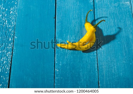 two yellow chili peppers on blue wooden table background