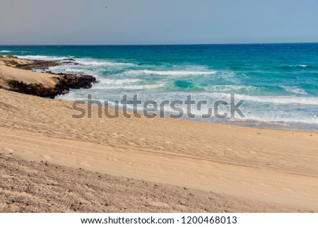 sand dunes in the Atlantic ocean tropical island of Fuerteventura