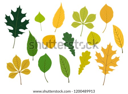 Colorful leaves Illustration icon set
