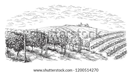 vine plantation hills, trees, clouds on the horizon vector illustration Royalty-Free Stock Photo #1200514270