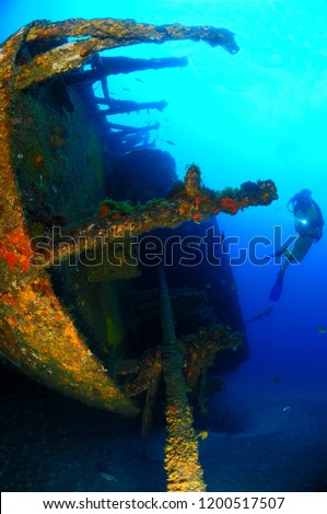 Diver in the wreck