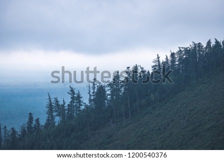 panoramic view of misty forest in western carpathian mountains. Tatra in foggy sunset, far horizon. Slovakia in early autumn - vintage retro look