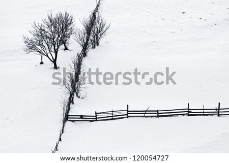 winter silence with lonely trees and wooden fence