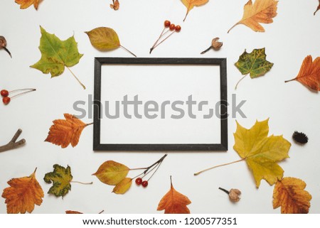 Autumn composition, Flat lay. Wooden photo frame with fresh autumn leaves on white background with copy space Top view. nature, season and decor concept.
