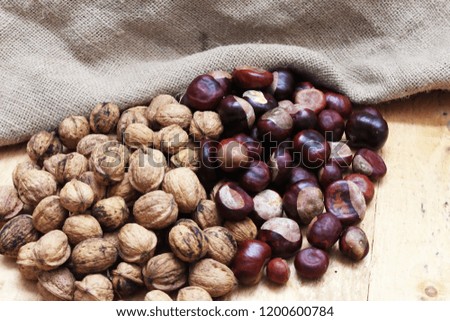 Walnuts on a brown background. Natural food.