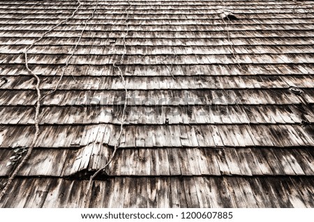 Old wooden roof close up