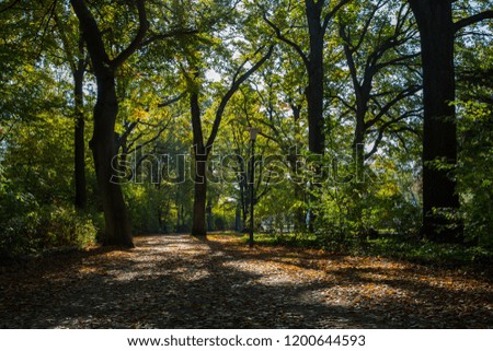 Autumn recreation area park Hamburg Germany