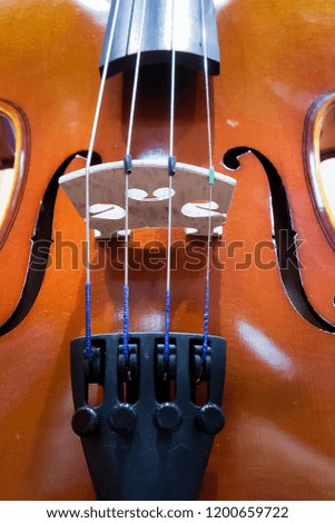 violin detail close up ideal for music related signs or music lessons musical instruments sale events