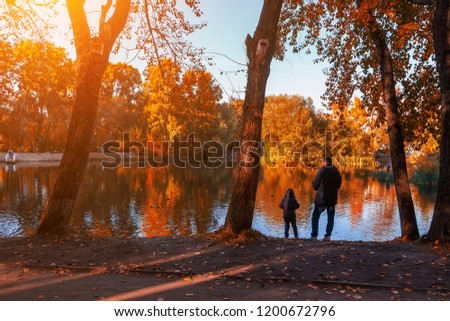 Father and son fall on the shore of the city pond and feed the birds, the soft setting sun