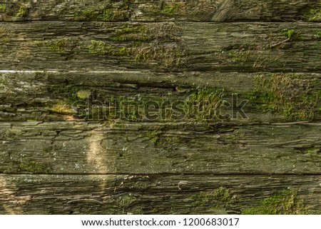 Old wood plank background, wooden boards texture