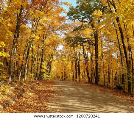 Autumn Road in Ontario