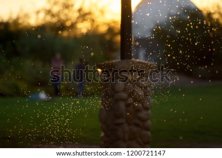 A swarm of backlit mosquitos or gnats flying around under a picnic cabana at a park.  The are at differing distances from the camera and some are in focus others look like points of light.