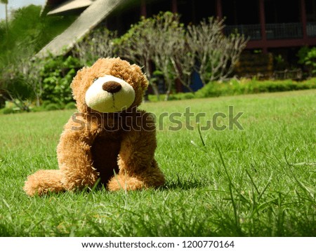 Teddy Bear sitting on a lawn in the sun.